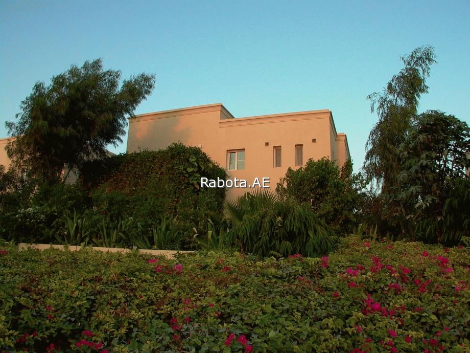 ����� � ����� (���) - ������� �����